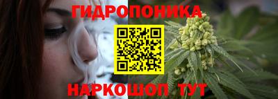 не бодяженный Камышлов