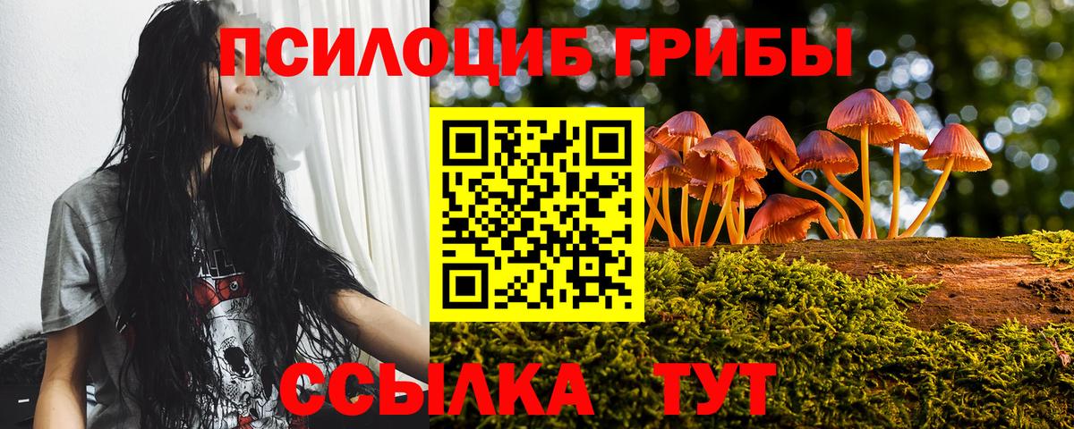 Галлюциногенные грибы Psilocybe  Вход с VPN  Лабинск 